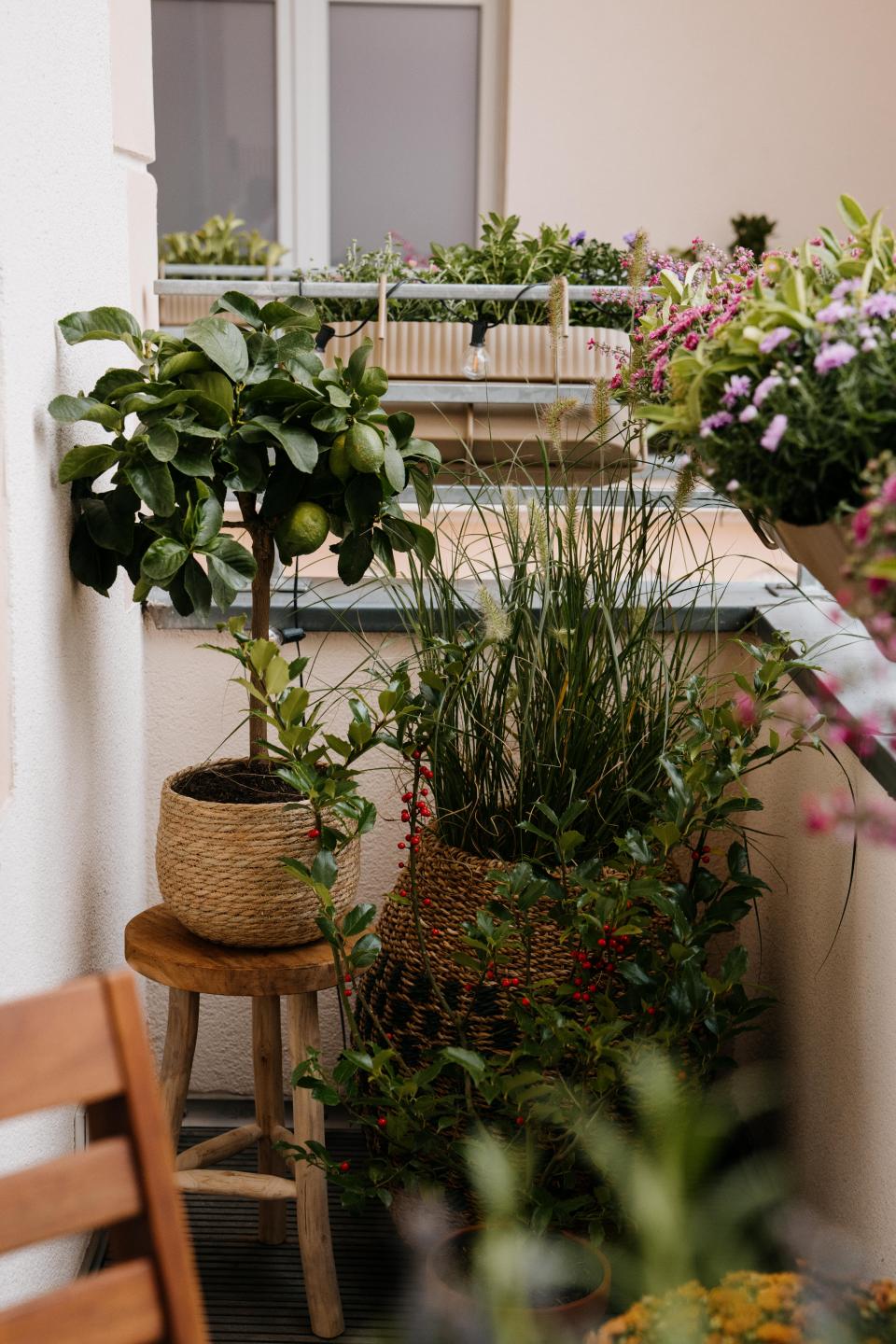 Stimmungsvolle Topfpflanzen für den Herbstbalkon