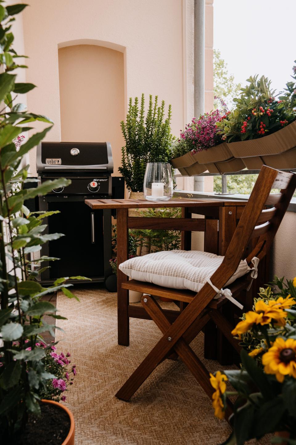 Viel Grün auf dem Balkon mit den richtigen Herbstpflanzen