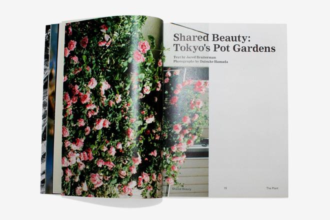 Maplantemonbonheur.fr The Plant Maplantemonbonheur.fr magazine über tendance