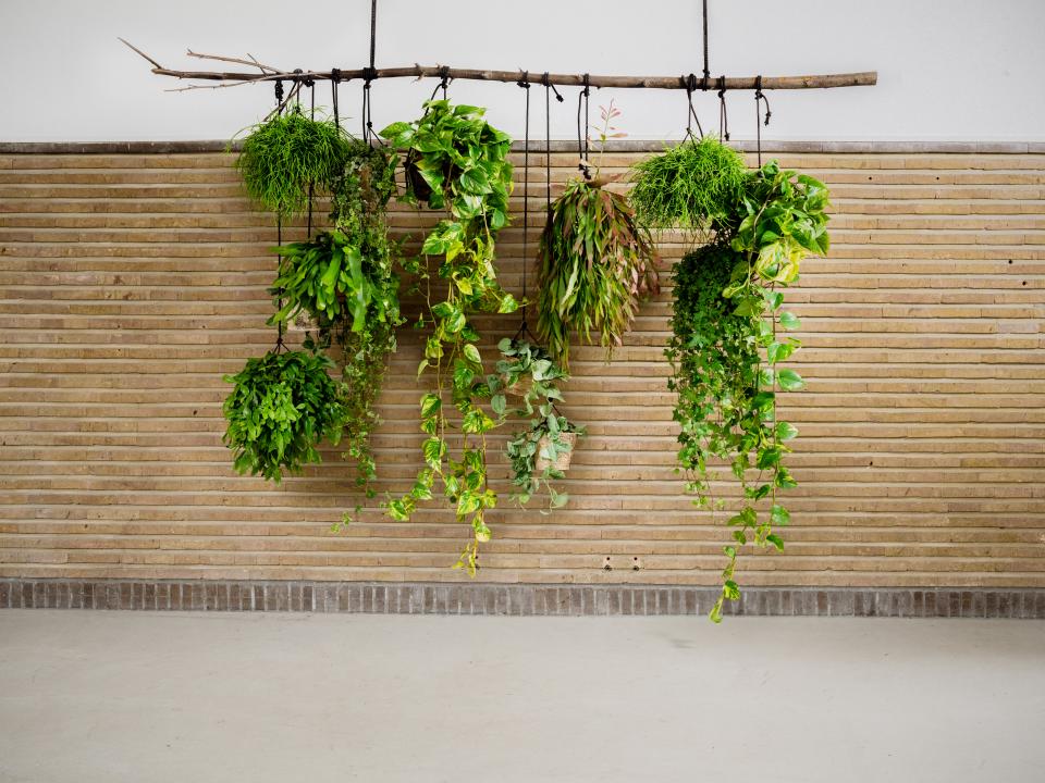 hangplanten binnen | styling hangplant binnen