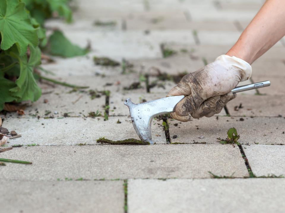 onkruid tussen bestrating weghalen