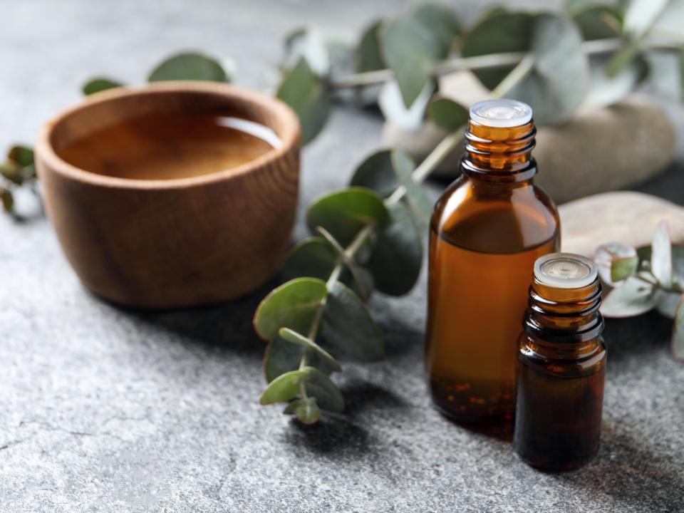 eucalyptus aromatherapie