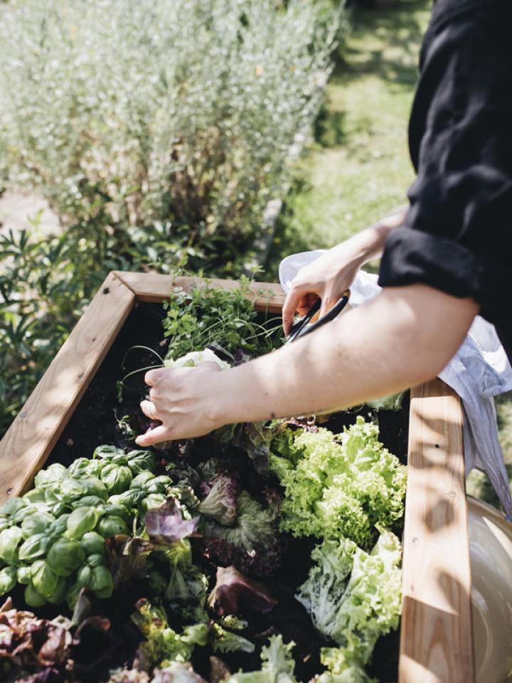 moestuinieren | moestuin pensioen cadeau